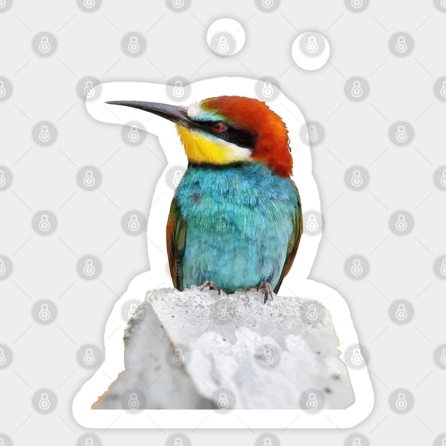 Brightly Colored European Bee Eater Vector Art Sticker by taiche